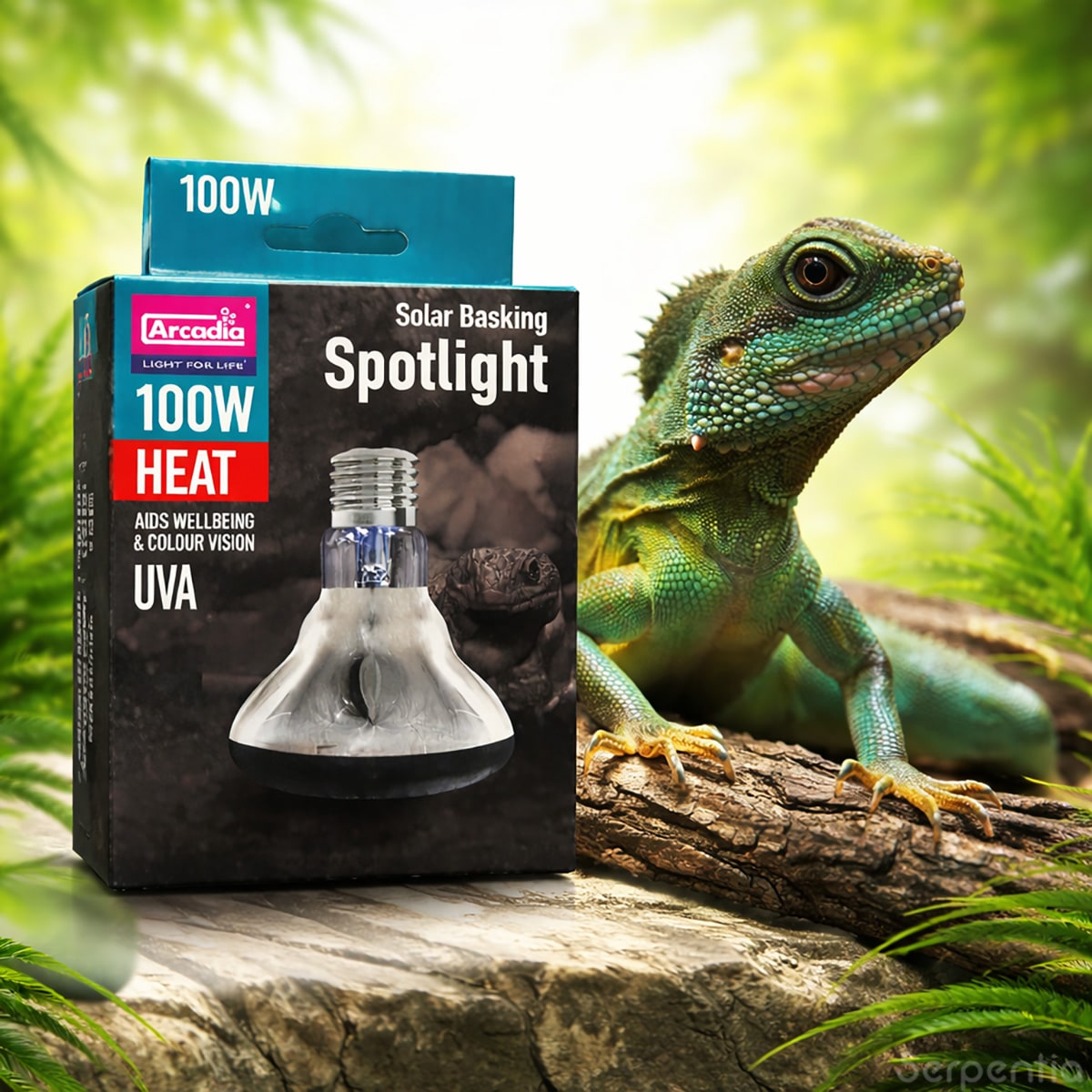 Arcadia Solar Basking Floodlight 100W reptile basking heat lamp suitable for bearded dragons, water dragons