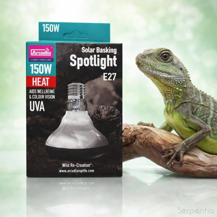 Arcadia Solar Basking Floodlight 150W reptile basking heat lamp suitable for bearded dragons, water dragons