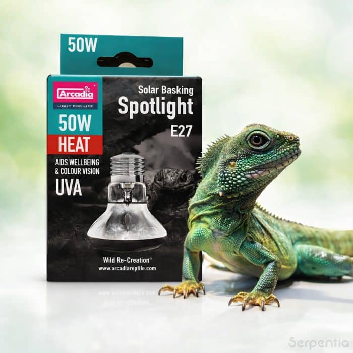 Arcadia Solar Basking Floodlight 50W reptile basking heat lamp suitable for bearded dragons, water dragons