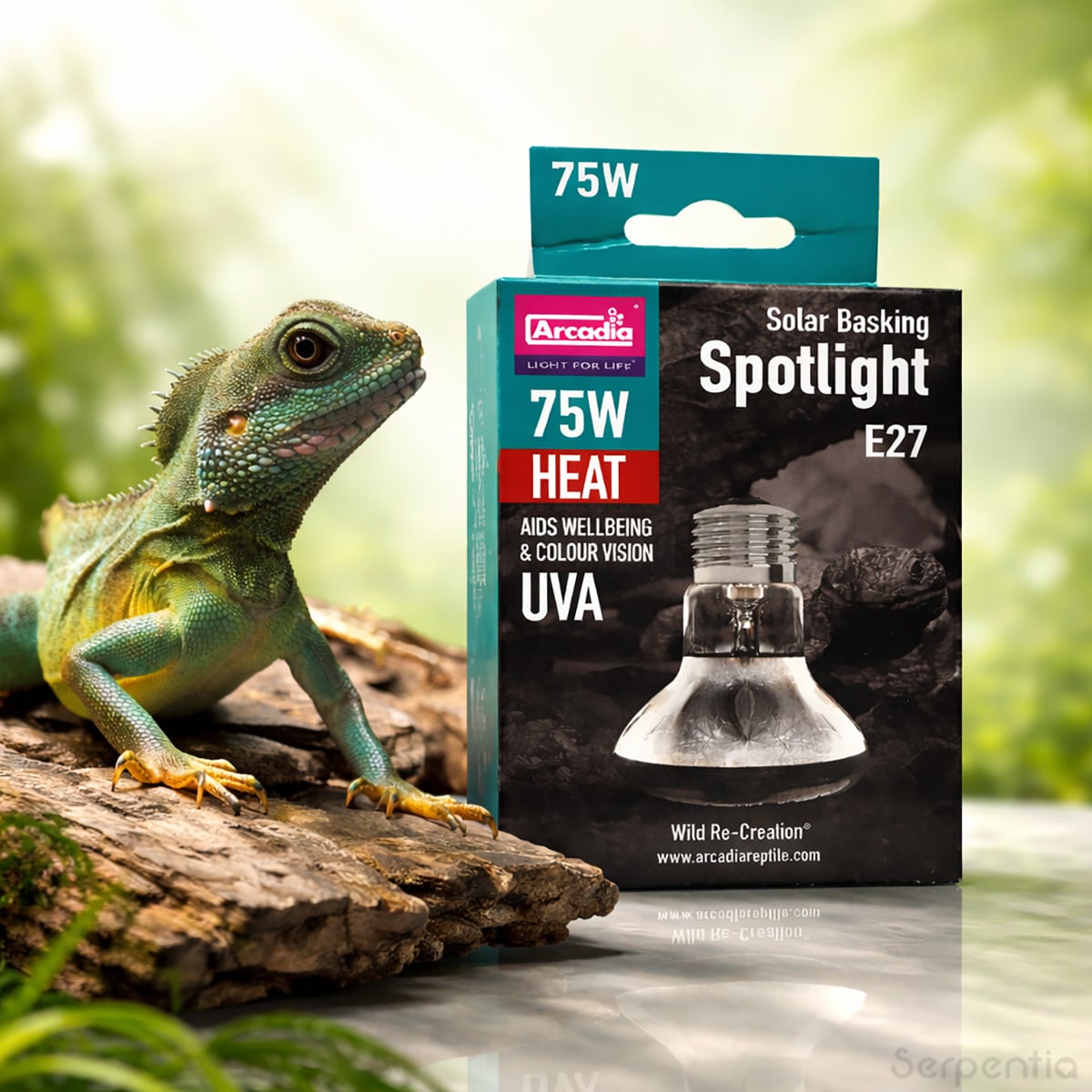 Arcadia Solar Basking Floodlight 75W reptile basking heat lamp suitable for bearded dragons, water dragons