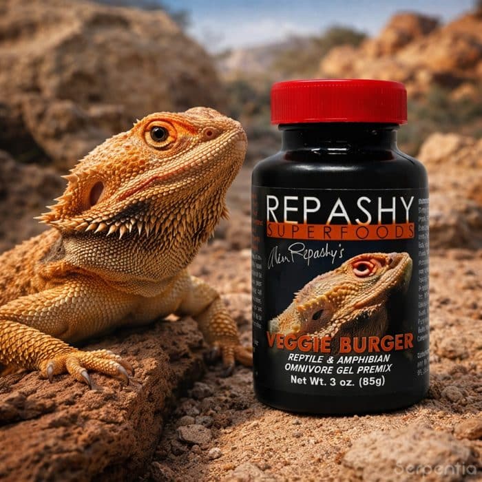 Repashy Veggie Burger 85g plant based reptile gel food for bearded dragons and omnivorous reptiles