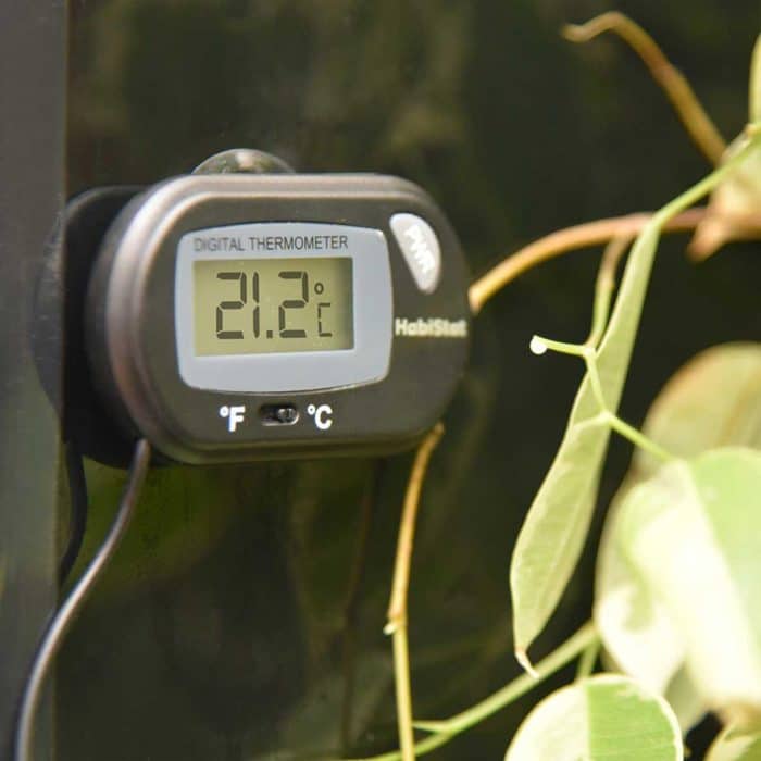 Habistat digital thermometer showing vivarium temperature reading inside enclosure