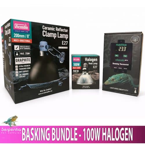 Reptile basking bundle with Arcadia 20cm graphite clamp lamp, 100W halogen heat lamp and HabiStat dimming thermostat