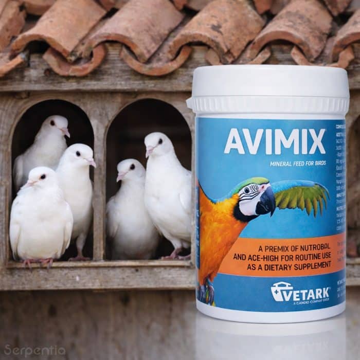 Vetark Avimix 50g bird supplement suitable for aviary birds and pigeons