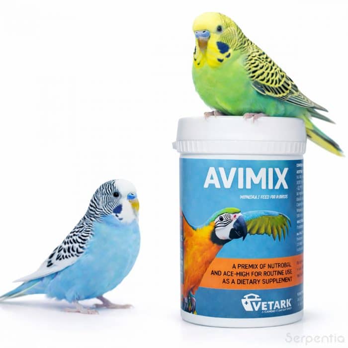 Vetark Avimix 50g bird vitamin and calcium supplement with budgies on product container