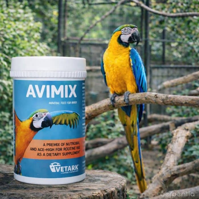 Vetark Avimix 50g bird vitamin and calcium supplement next to a parrot in aviary setting