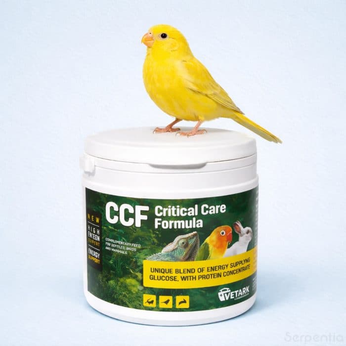 Vetark Critical Care Formula 150g recovery food for birds shown with canary for energy and nutritional support