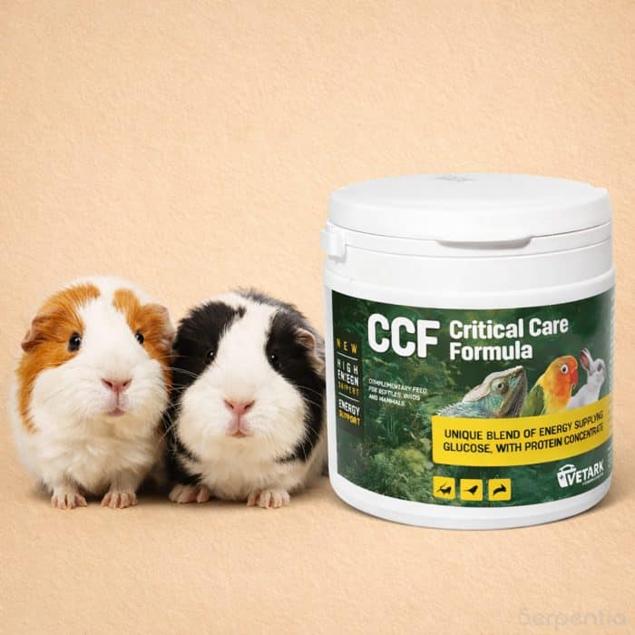 Vetark Critical Care Formula 150g recovery food for guinea pigs and small animals requiring nutritional support
