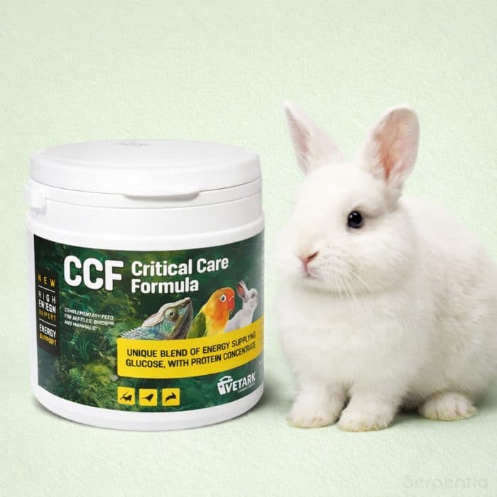 Vetark Critical Care Formula CCF 150g recovery food for reptiles birds and small animals providing energy and protein support