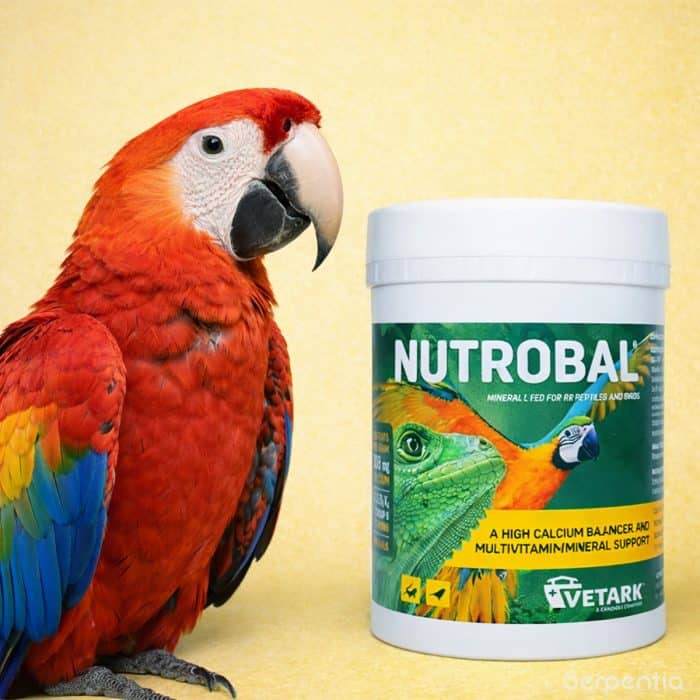 Vetark Nutrobal 100g calcium powder for birds and reptiles