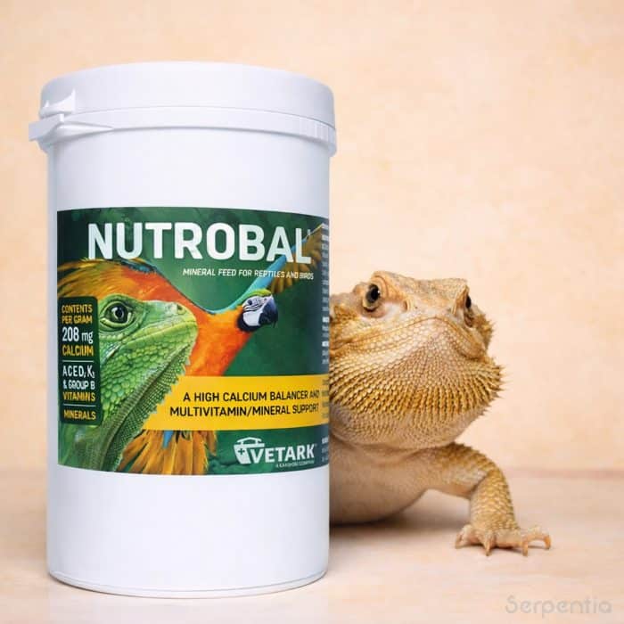 Vetark Nutrobal 250g calcium and multivitamin supplement next to a bearded dragon