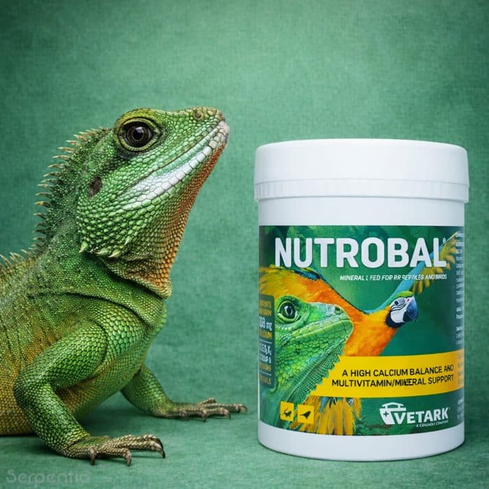 Vetark Nutrobal 50g reptile calcium powder for dusting feeder insects