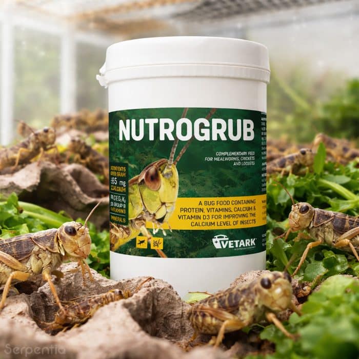 Vetark Nutrogrub insect gutload food with crickets in enclosure setup
