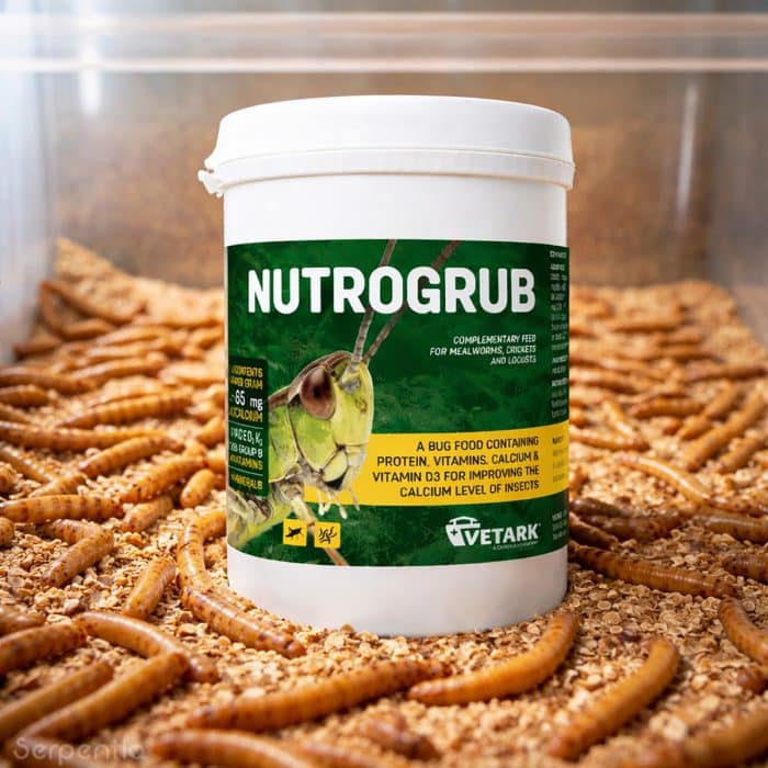 Vetark Nutrogrub insect gutload food with mealworms for improving feeder insect nutrition