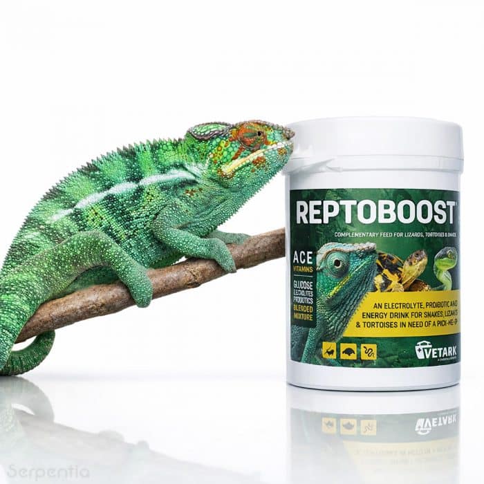 Vetark Reptoboost reptile electrolyte energy supplement for lizards and tortoises with chameleon