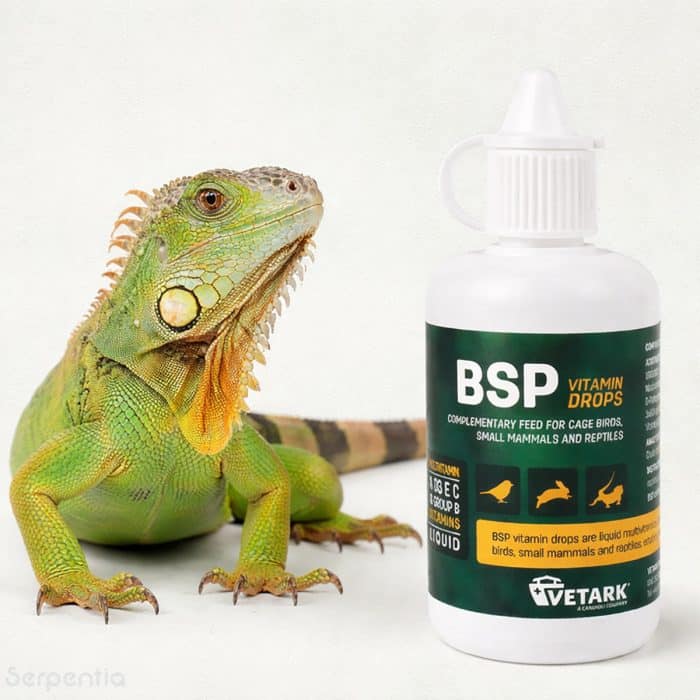 Vetark BSP Vitamin Drops 50ml with green iguana for reptiles birds and small mammals