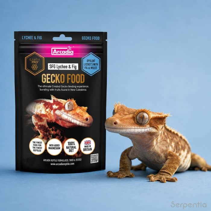 Arcadia SFG Lychee and Fig gecko food beside a crested gecko