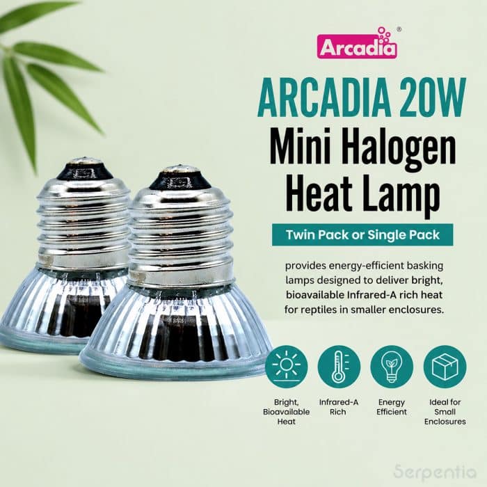Arcadia 20W Mini Halogen Heat Lamp benefits image showing twin pack or single pack options for small reptile enclosures