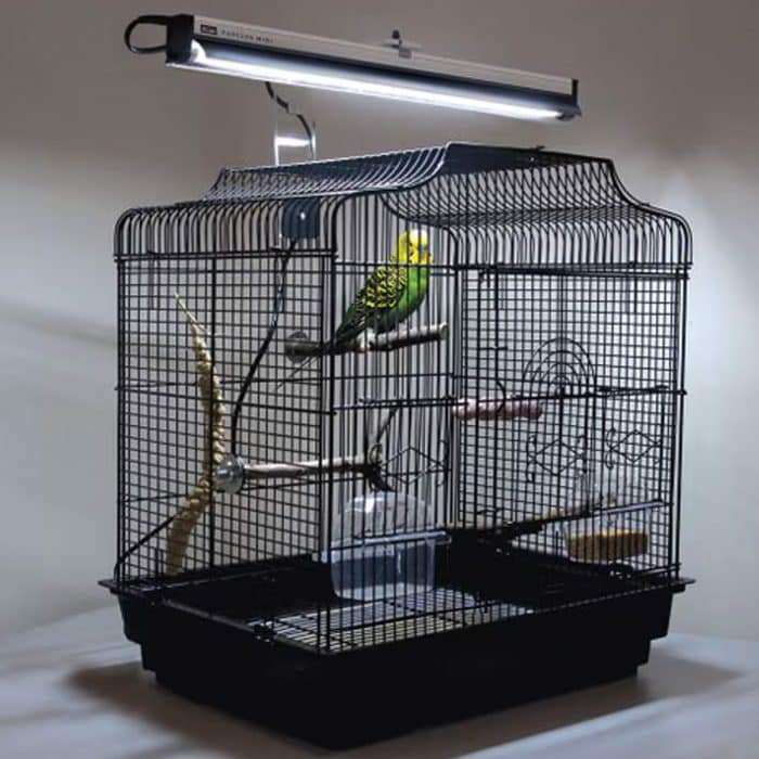 Arcadia PureSun Midi 14W bird lighting kit in use above a bird cage