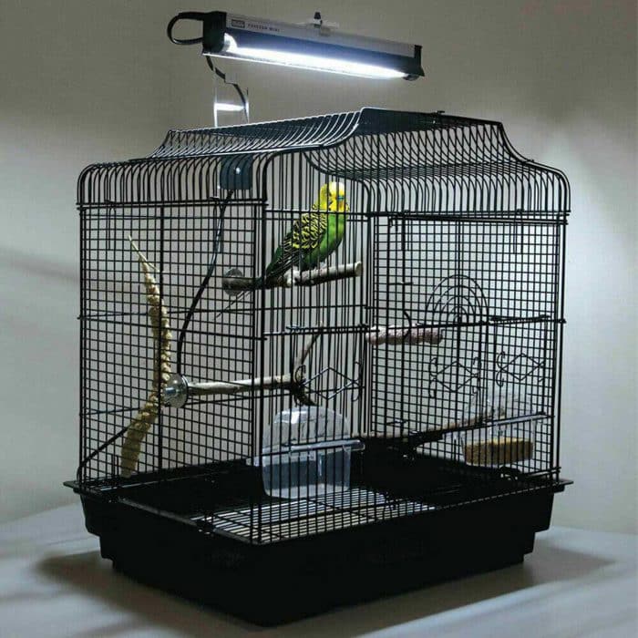 Arcadia PureSun Mini 8W bird lamp kit with reflector, installed above wire cage with budgie perched below
