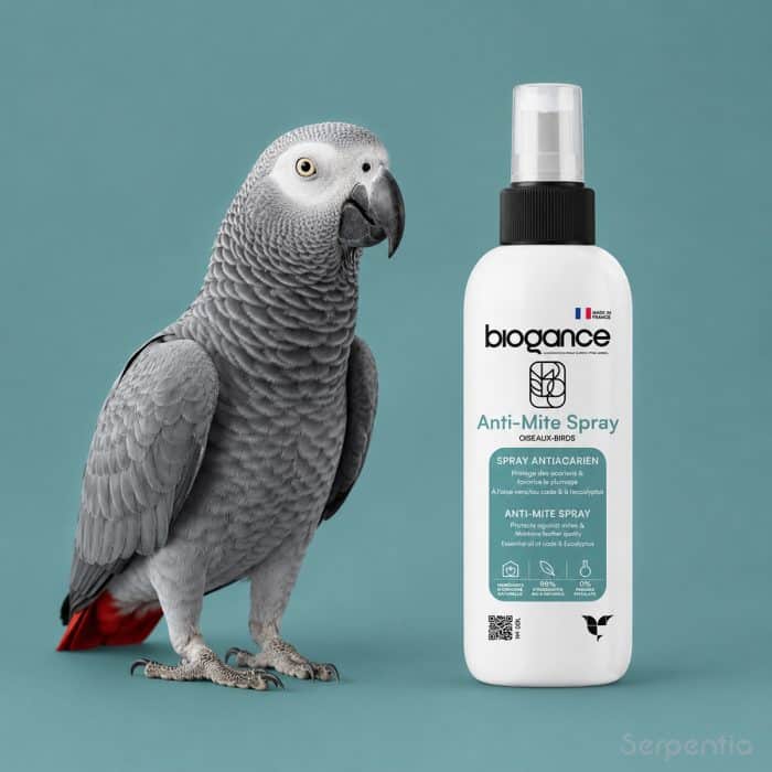 Biogance Anti-Mite Spray 100ml for birds shown with an African grey parrot