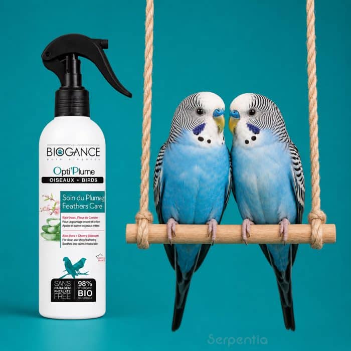 Biogance Opti'Plume 250ml feather care spray for birds with two budgies on a perch