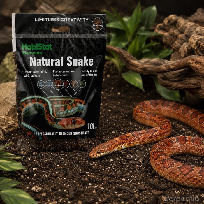HabiStat Natural Snake Substrate 10L shown in a naturalistic snake habitat