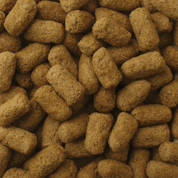 Close-up of Mazuri Tortoise Diet pellets