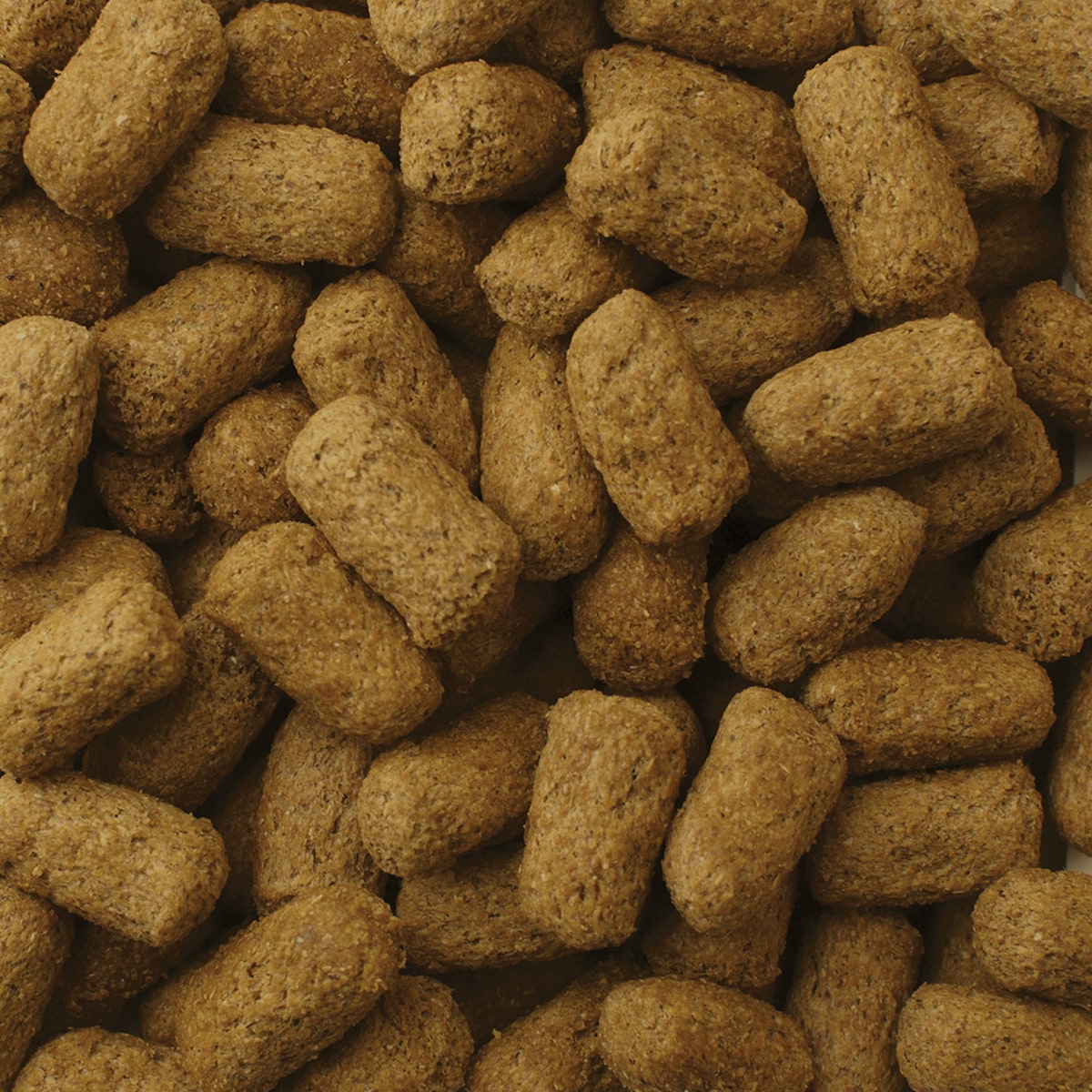 Close-up of Mazuri Tortoise Diet pellets