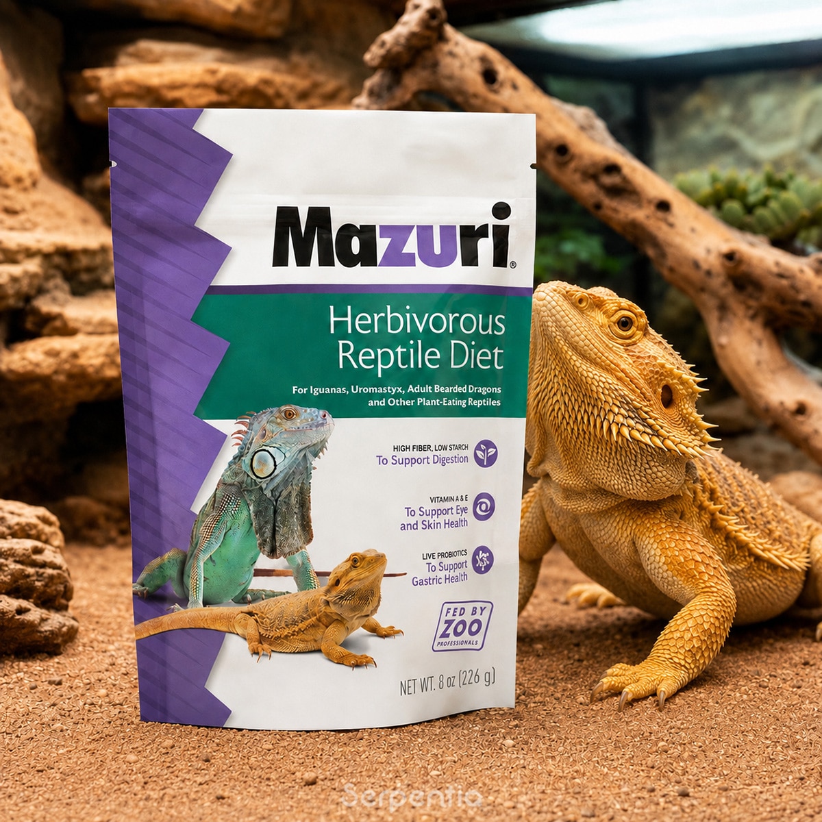Mazuri Herbivorous Reptile Diet 226g shown with an adult bearded dragon in a naturalistic enclosure
