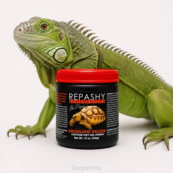 Repashy Grassland Grazer 340g high-fibre herbivorous reptile diet shown with a green iguana