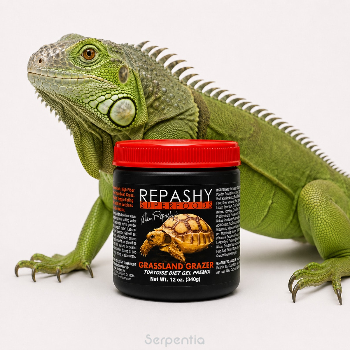 Repashy Grassland Grazer 340g high-fibre herbivorous reptile diet shown with a green iguana