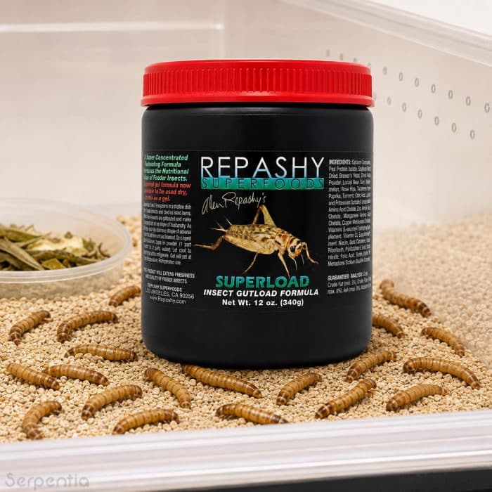 Repashy SuperLoad 85g insect gutload formula with live feeder mealworms