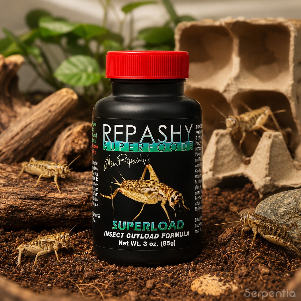 Repashy SuperLoad 85g insect gutload formula with live feeder crickets