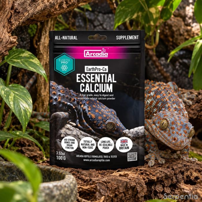 Arcadia EarthPro-Ca 100g essential calcium supplement shown with a gecko in a naturalistic reptile enclosure