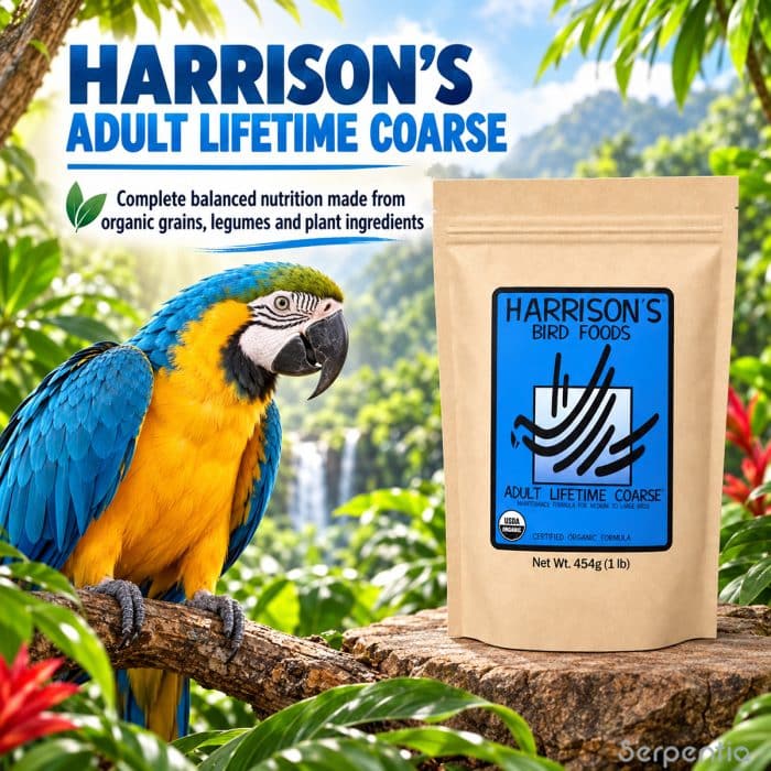 Harrison’s Adult Lifetime Coarse 454g organic bird food shown with a blue and gold macaw