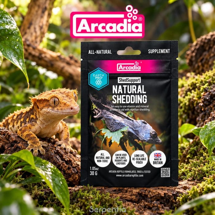 Arcadia EarthPro ShedSupport 30g with crested gecko in a natural vivarium setting