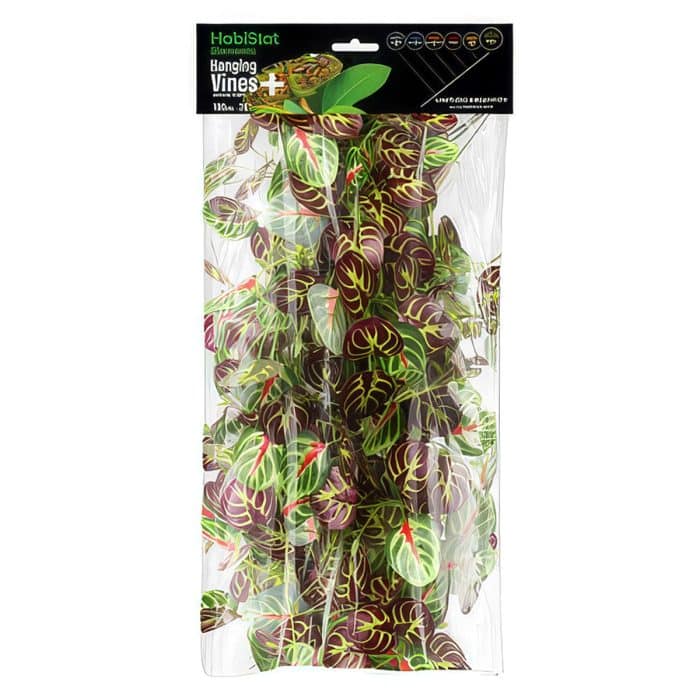 HabiStat Elements Hanging Vine Plus Autumn Apple 100cm in retail packaging