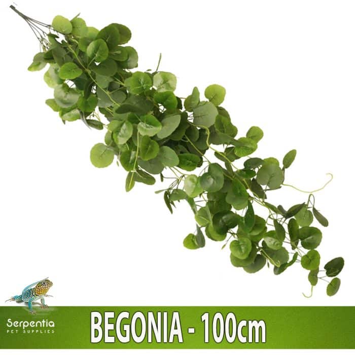 HabiStat Hanging Vine Plus Begonia 100cm artificial trailing plant for reptile and vivarium decoration