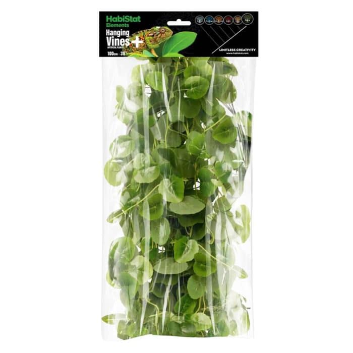 HabiStat Elements Hanging Vine Begonia 100cm in retail packaging