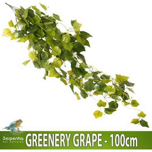 HabiStat Hanging Vine Plus Greenery Grape 100cm artificial trailing plant for reptile and vivarium decoration