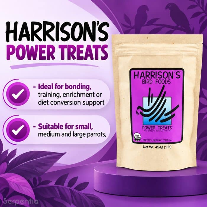 Harrison's Power Treats 454g organic bird treats for bonding, training, enrichment and diet conversion support