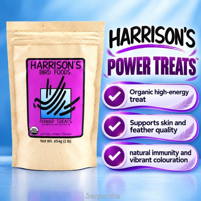 Harrison's Power Treats 454g organic high-energy bird treat supporting skin, feather quality and vibrant colour