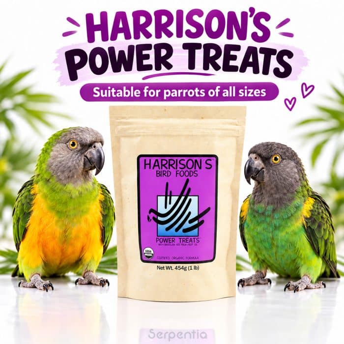 Harrison's Power Treats 454g suitable for small, medium and large parrots