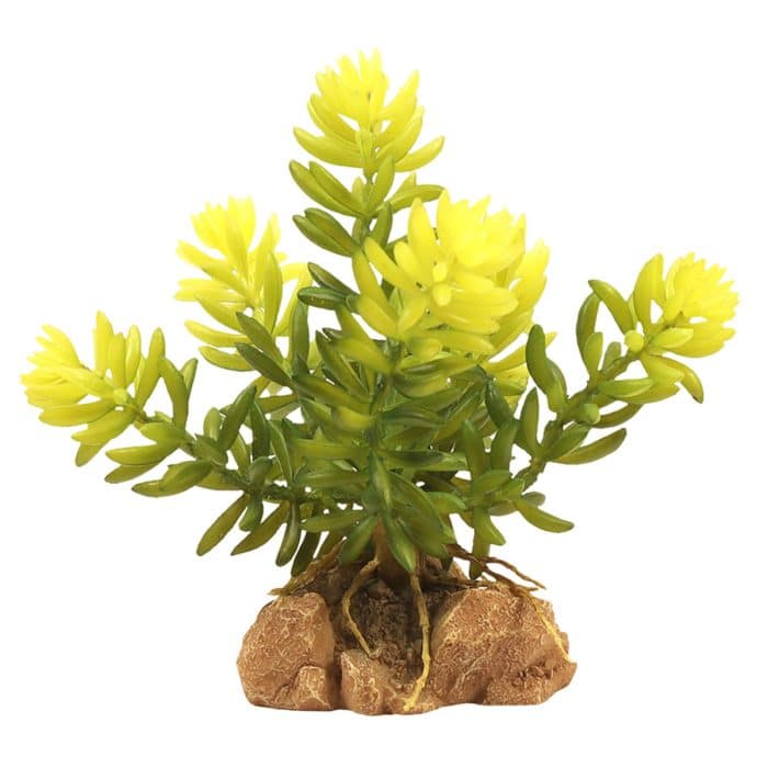 Zoo Med Naturalistic Desert Flora Burro's Tail artificial terrarium plant with removable rock base