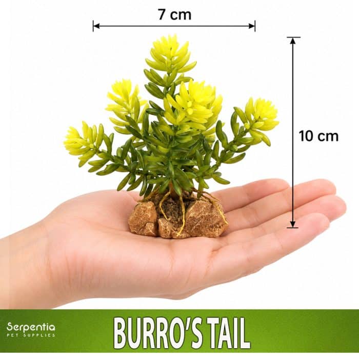 Zoo Med Desert Flora Burro’s Tail artificial plant shown in hand for scale, approximately 10cm high and 7cm wide