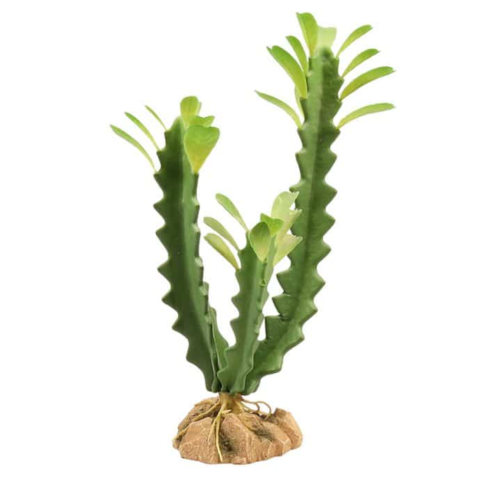 Zoo Med Naturalistic Desert Flora Euphorbia artificial terrarium plant with removable rock base