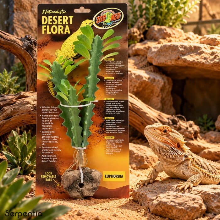 Zoo Med Desert Flora Euphorbia artificial plant in desert vivarium with bearded dragon