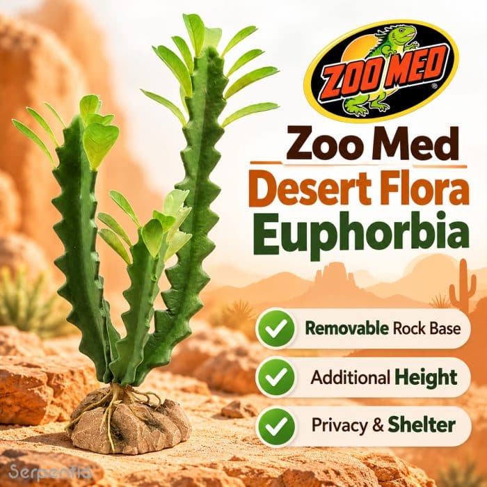 Zoo Med Desert Flora Euphorbia artificial plant with removable rock base, additional height, privacy and shelter