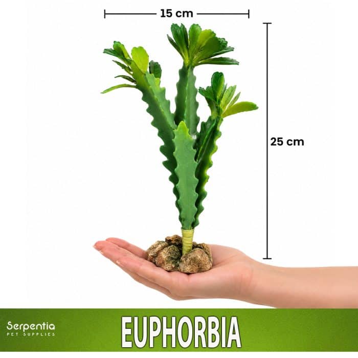 Zoo Med Desert Flora Euphorbia artificial plant shown in hand for scale, approximately 25cm high and 15cm wide